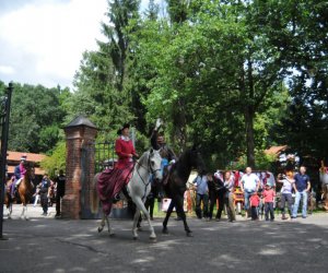 VIII Zajazd Wysokomazowiecki, 15.07.2012.