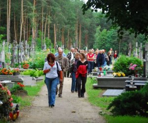 Rośliny lecznicze w kulturze, nauce i sztuce,