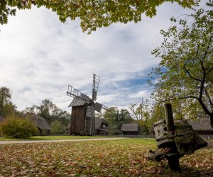 NIECOdziennik muzealny - Wieś w październiku