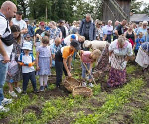 Jesień w polu i zagrodzie - fotorelacja - 15 września 2024