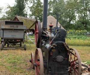 XVII Podlaskie Święto Chleba - fotorelacja