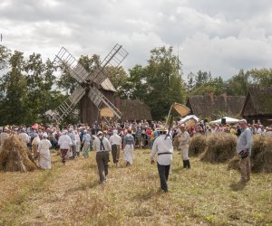 XVI Podlaskie Święto Chleba