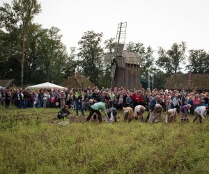 Impreza plenerowa - Jesień w Polu i Zagrodzie