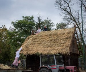 Jesień w Polu i Zagrodzie 2018 - fotorelacja