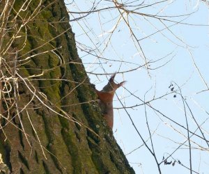Nowe budki lęgowe w muzealnym parku