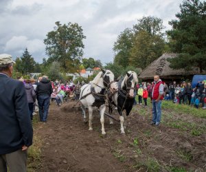 Jesień w Polu i Zagrodzie 2018 - fotorelacja