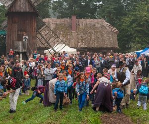 JESIEŃ W POLU I ZAGRODZIE