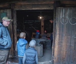 Jesień w polu i zagrodzie - fotorelacja