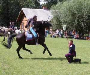 VIII Zajazd Wysokomazowiecki, 15.07.2012.