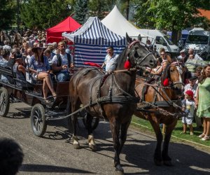 XV Podlaskie Święta Chleba w Muzeum Rolnictwa im. ks. Krzysztofa Kluka w Ciechanowcu