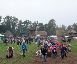 JESIEŃ W POLU I ZAGRODZIE