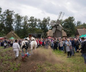 Jesień w Polu i Zagrodzie 2018 - fotorelacja