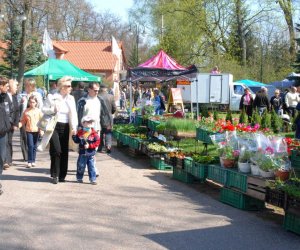 JARMARK ŚWIĘTEGO WOJCIECHA W MUZEUM ROLNICTWA W CIECHANOWCU