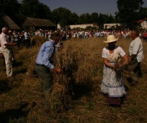 IX Podlaskie Święto Chleba