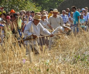 XV Podlaskie Święta Chleba w Muzeum Rolnictwa im. ks. Krzysztofa Kluka w Ciechanowcu