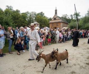 XVII Podlaskie Święto Chleba - fotorelacja