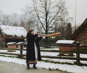Ligawki 2018