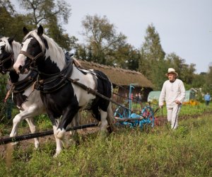 Impreza plenerowa - Jesień w Polu i Zagrodzie