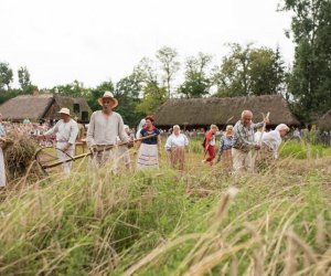 XVII Podlaskie Święto Chleba - fotorelacja