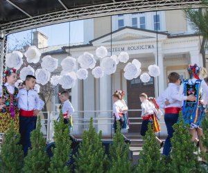 Jarmark św. Wojciecha 2018 - fotorelacja