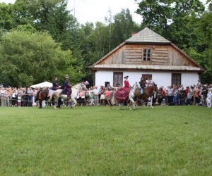 VIII Zajazd Wysokomazowiecki, 15.07.2012.