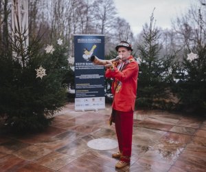 Ligawki 2018