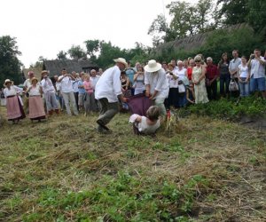 VII PODLASKIE ŚWIĘTO CHLEBA