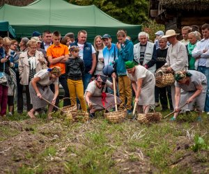 Jesień w polu i zagrodzie