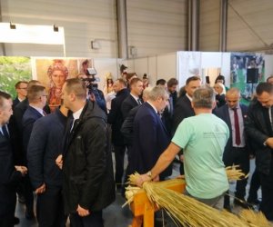 Narodowa Wystawa Rolnicza w Poznaniu