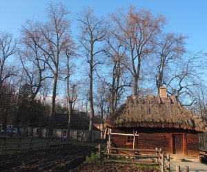 Pielęgnacja i konserwacja drzew zabytkowej alei lipowej na terenie skansenu Muzeum Rolnictwa im. Ks. Krzysztofa Kluka w Ciechanowcu