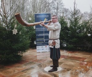 Ligawki 2018