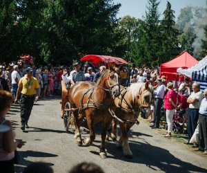 XV Podlaskie Święta Chleba w Muzeum Rolnictwa im. ks. Krzysztofa Kluka w Ciechanowcu