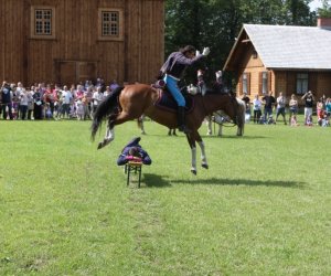 VIII Zajazd Wysokomazowiecki, 15.07.2012.