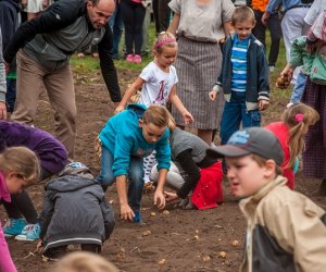 Jesień w polu i zagrodzie