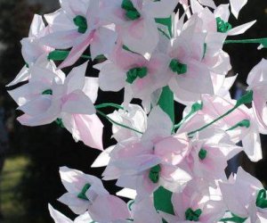 Niedziela Palmowa