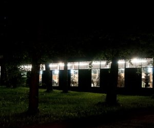 Noc Muzeów w Muzeum Rolnictwa