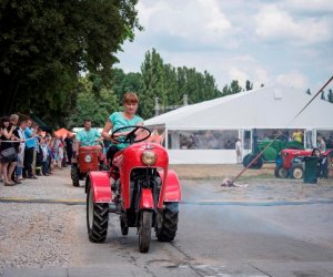 Muzeum na Pikniku Poznaj Dobrą Żywność