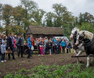 Jesień w Polu i Zagrodzie 2018 - fotorelacja