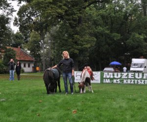 Wykopki w Skansenie