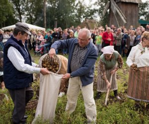 Impreza plenerowa - Jesień w Polu i Zagrodzie