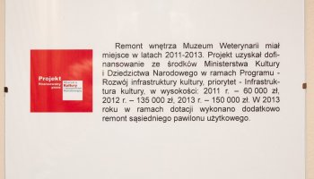 Zakończenie modernizacji wnętrza stajni - Muzeum Weterynarii