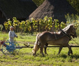 JESIEŃ W POLU I ZAGRODZIE w ramach Europejskich Dni Dziedzictwa 18 września 2016 r.