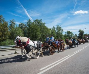 XVIII Podlaskie Święto Chleba - fotorelacja