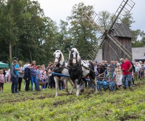 Jesień w polu i zagrodzie - fotorelacja - 15 września 2024