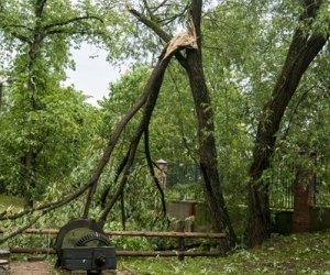 Nawałnica w ciechanowieckim muzeum