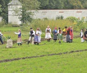 Wykopki w skansenie podsumowanie, fotorelacja.