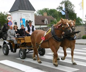 VIII PODLASKIE ŚWIĘTO CHLEBA