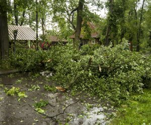 Nawałnica w ciechanowieckim muzeum