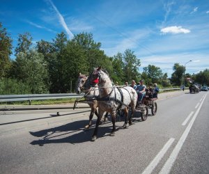 XVIII Podlaskie Święto Chleba - fotorelacja