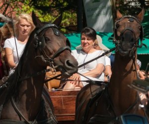 XV Podlaskie Święta Chleba w Muzeum Rolnictwa im. ks. Krzysztofa Kluka w Ciechanowcu